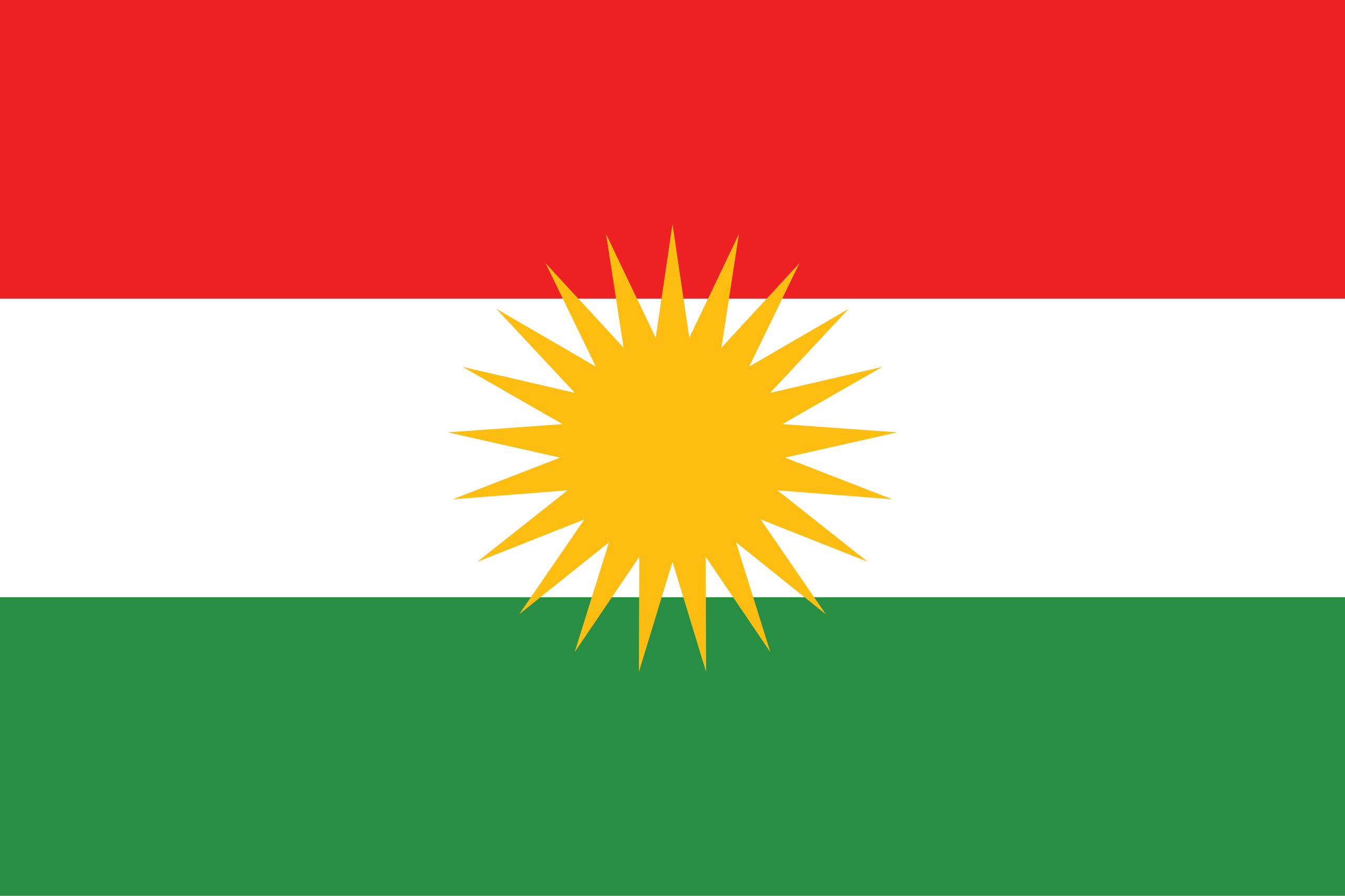 Kurdish Flag